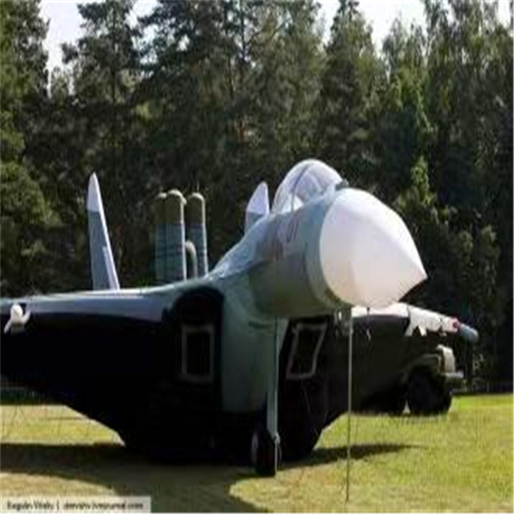 岳普湖充气气模飞机